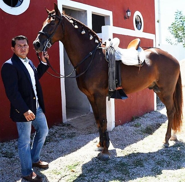 Ayala presenta nuevos caballos
