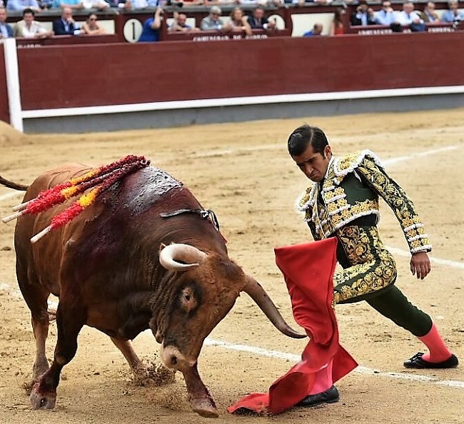 Joselito Adame, esforzado y torero pero sin suerte
