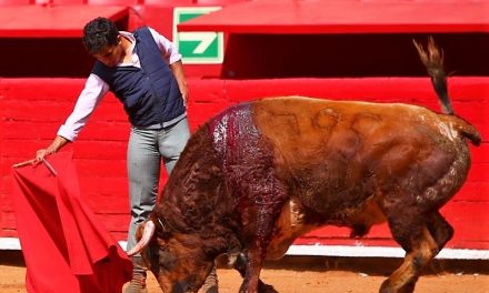 Leo Valadez lidió un toro a puerta cerrada en La México