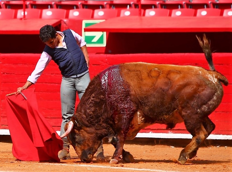 Leo Valadez lidió un toro a puerta cerrada en La México