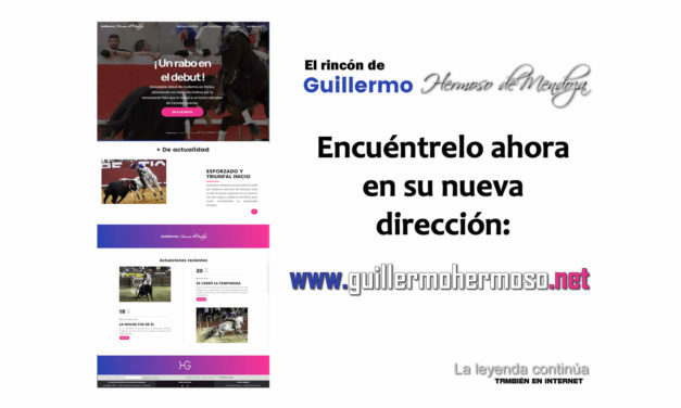 Guillermo Hermoso estrena su web