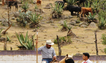 Celebra 40 años la ganadería de Felipe González