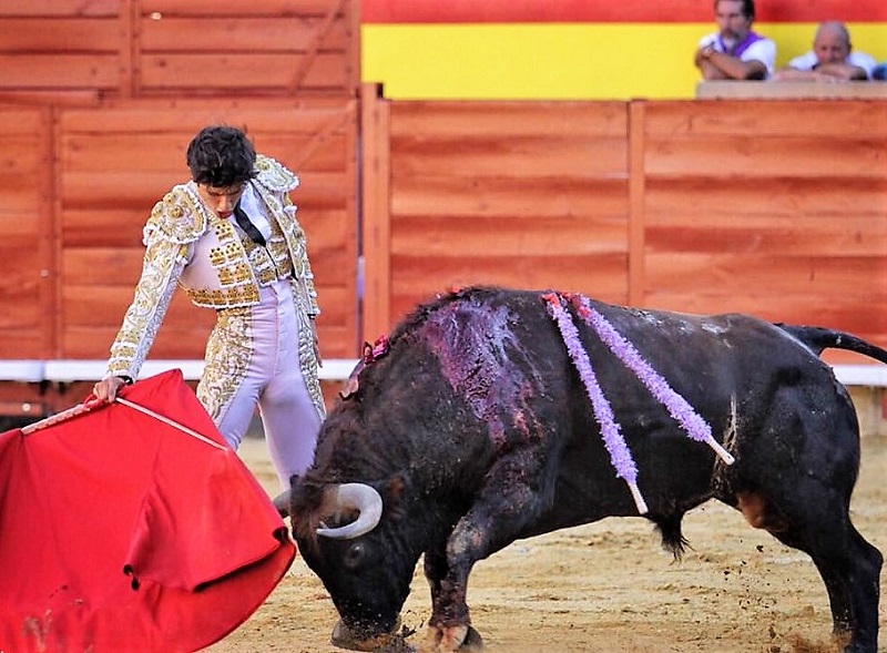 Luis David sin suerte en Palencia