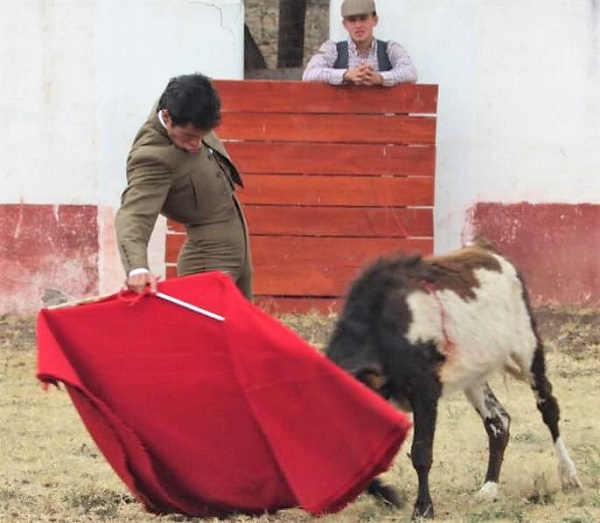 Francisco Martínez se alista en varias ganaderías
