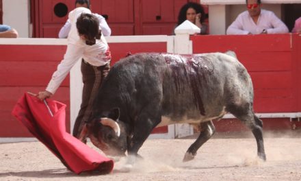 Gerardo Adame lidió y mató un toro de San Isidro
