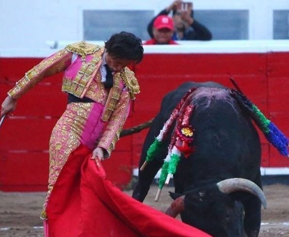 Suspenden temporalmente corridas de toros en la Alcaldía Benito Juárez