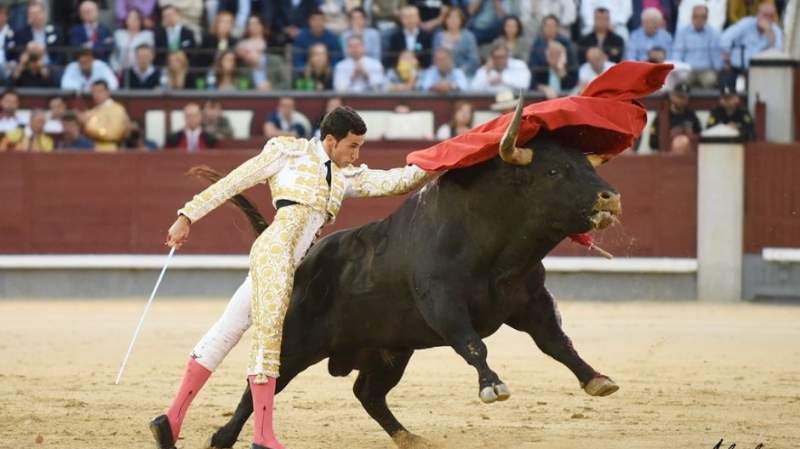 «La apuesta de Simón Casas con los toreros es clara»: David de Miranda