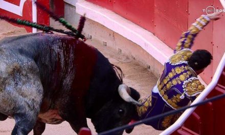 Grave cornada a Rafaelillo en la última de San Fermín