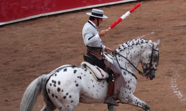 Fallece «Picasso», caballo de Andy Cartagena