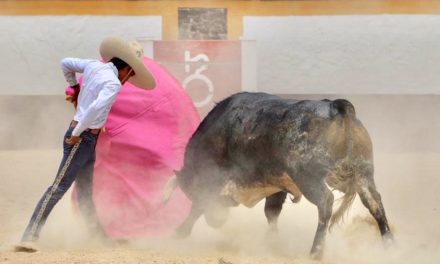 «El Mojito» en la ganadería de De Haro