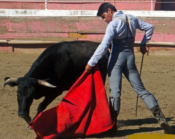 Alejandro Lima «Mojito» tentó veinte vacas