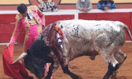 «Calita»: La gente ha podido ver un torero renovado