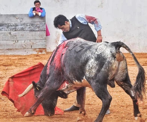 Juan Fernando lidia tres toros