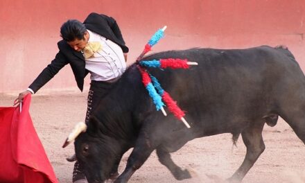 «El Rifao» lidia un toro en Zacatepec