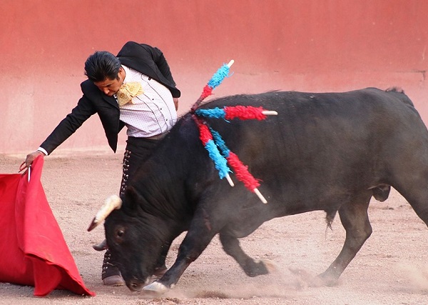 «El Rifao» lidia un toro en Zacatepec