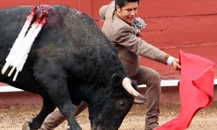 «El Zapata» lidiará su primer toro