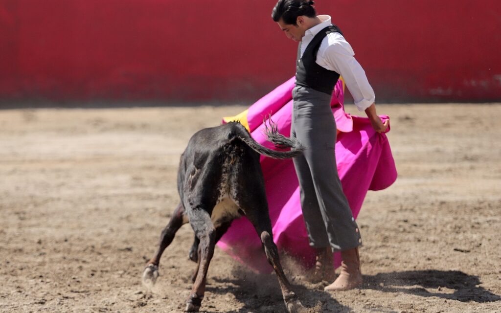 Diego San Román hace labores de tienta en la dehesa de Raúl Cervantes