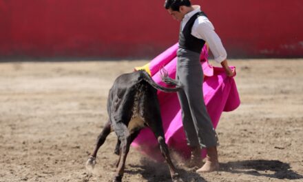 Diego San Román hace labores de tienta en la dehesa de Raúl Cervantes