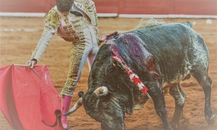 César Pacheco desea mostrar su valía torera