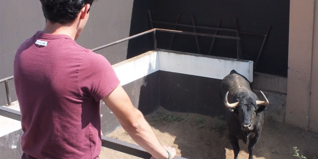 Isaac Fonseca visita los toros de su encerrona