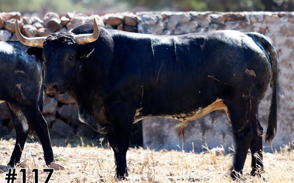 Reseña de los toros de Xajay para Texcoco