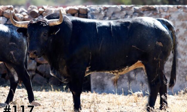 Reseña de los toros de Xajay para Texcoco