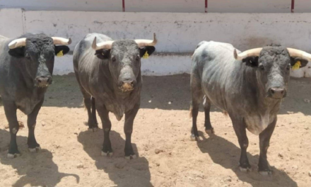 Los toros de Castorena promediaron 400 kilos