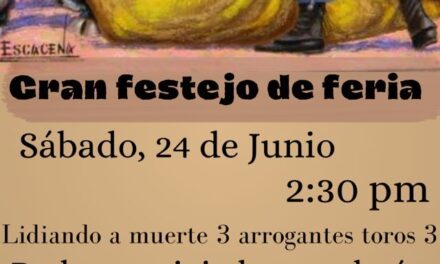Festejo de feria en San Juan Achichilco