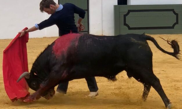 «El Payo» mata dos toros a puerta cerrada